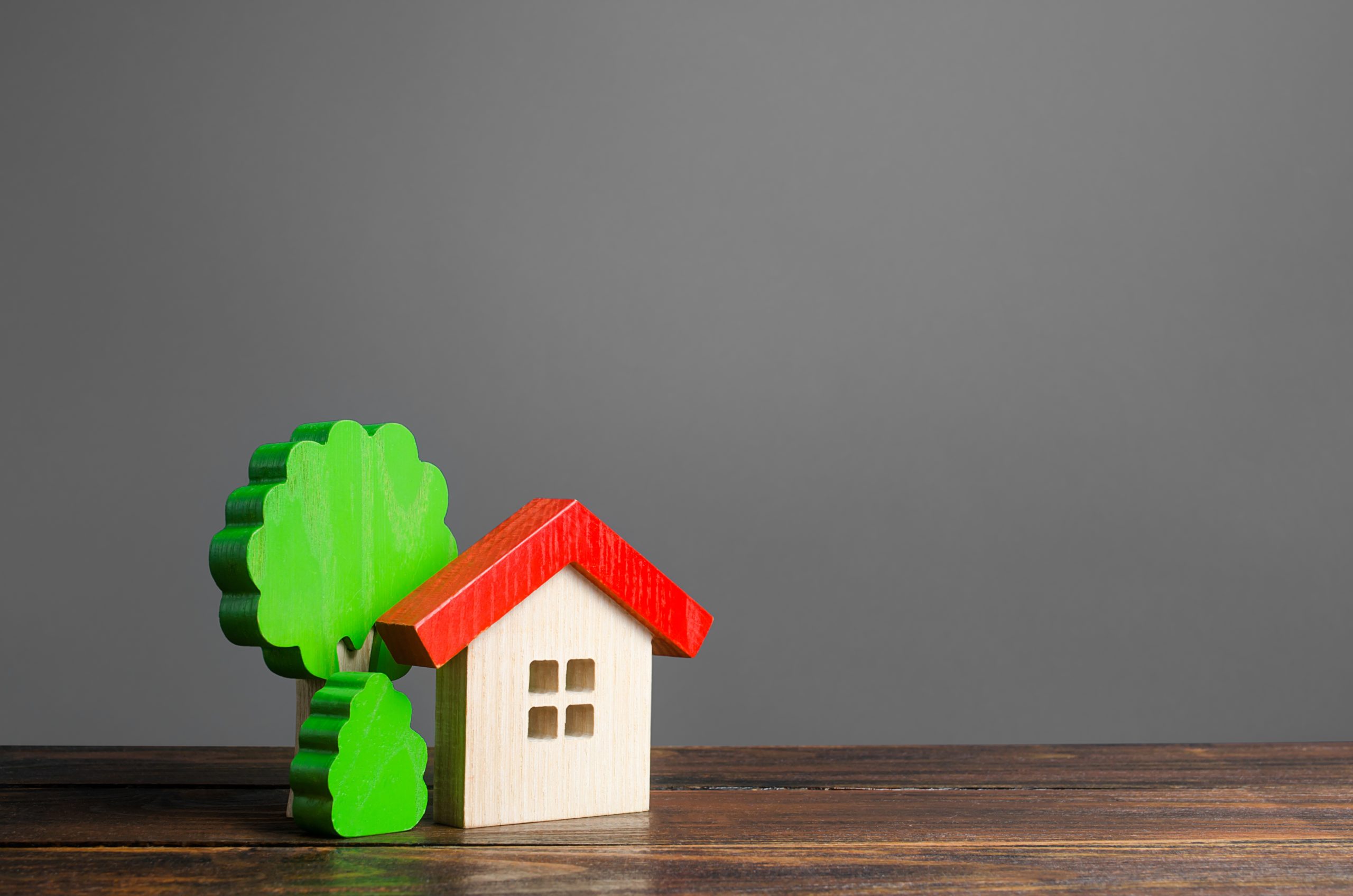 wooden house